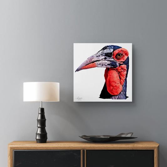 Hornbill Satin Stretched Canvas Print
