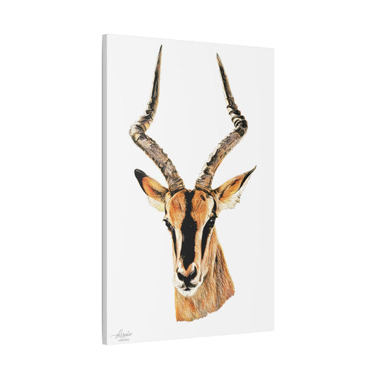 Impala Satin Stretched Canvas Print