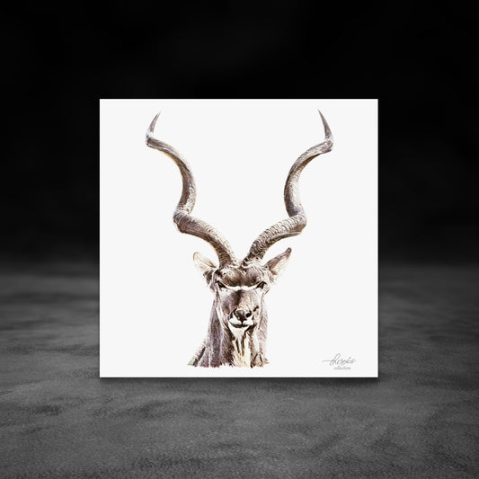 Kudu Fine Art Giclée Matte Poster - HD Printing