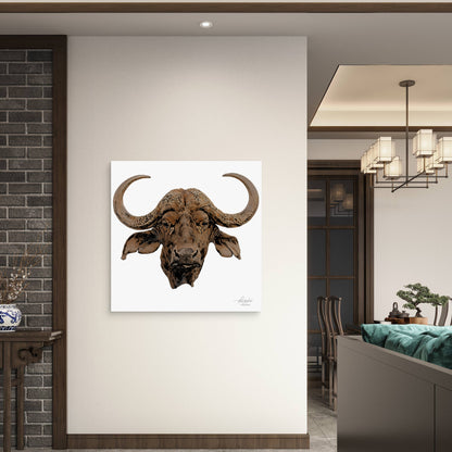 Cape Buffalo Satin Stretched Canvas Print