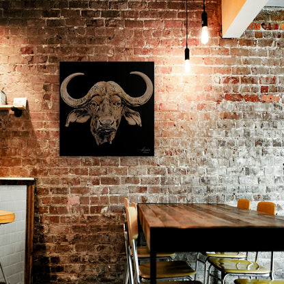 Buffalo Satin Stretched Black Canvas Print