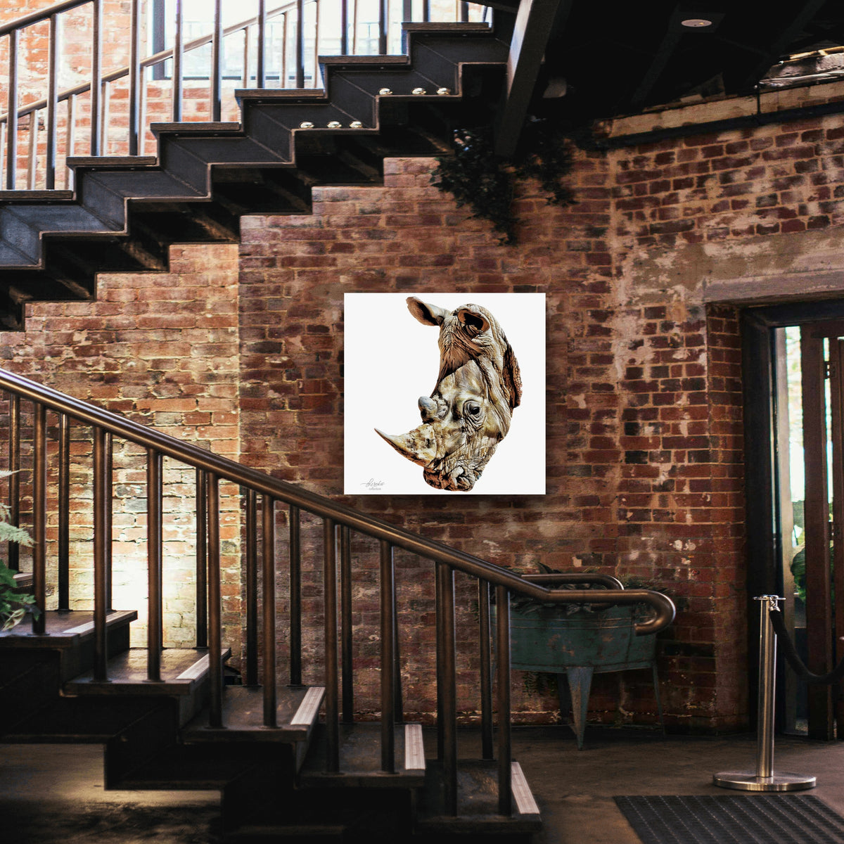 Rhino Fine Art Giclée Matte Poster - HD Printing