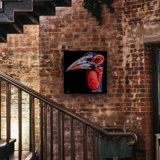 Hornbill Satin Stretched Black Canvas Print