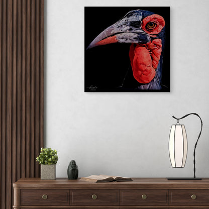 Hornbill Satin Stretched Black Canvas Print