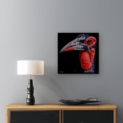 Hornbill Satin Stretched Black Canvas Print