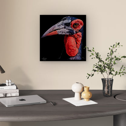 Hornbill Satin Stretched Black Canvas Print