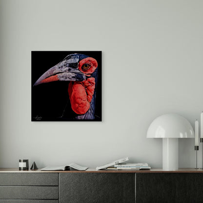 Hornbill Satin Stretched Black Canvas Print