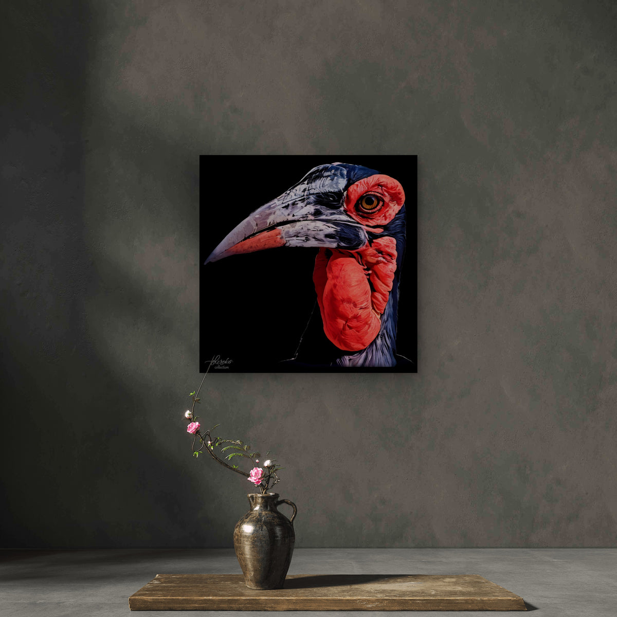 Hornbill Satin Stretched Black Canvas Print