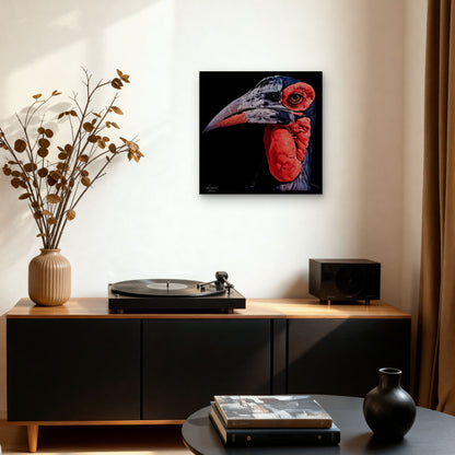 Hornbill Satin Stretched Black Canvas Print
