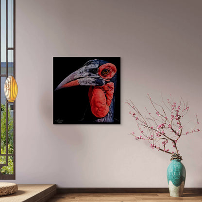 Hornbill Satin Stretched Black Canvas Print