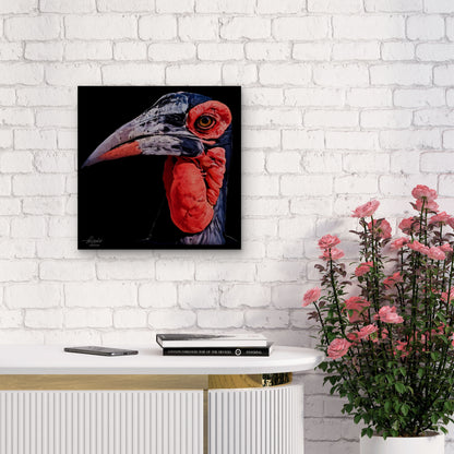 Hornbill Satin Stretched Black Canvas Print
