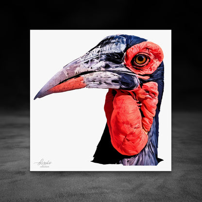 African Hornbill Fine Art Giclée Matte Poster