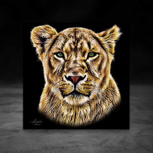 Lioness Fine Art Giclée Matte Black Poster