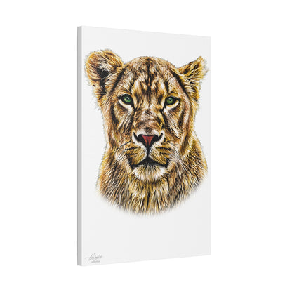 Lioness Satin Stretched Canvas Print