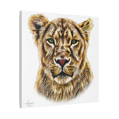 Lioness Satin Stretched Canvas Print