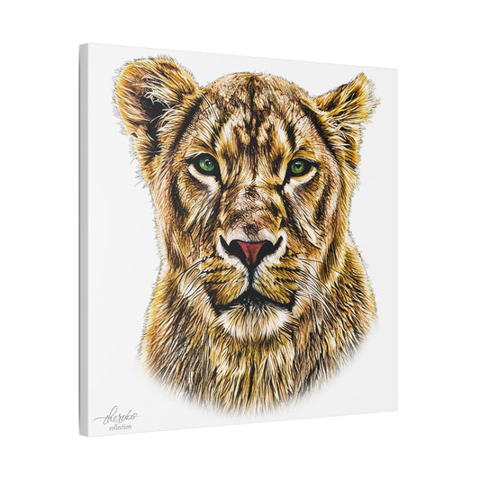 Lioness Satin Stretched Canvas Print