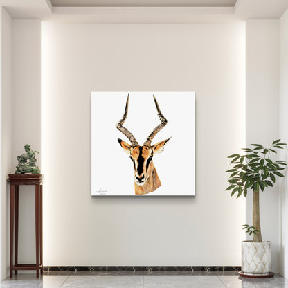 Impala Fine Art Giclée Matte Poster
