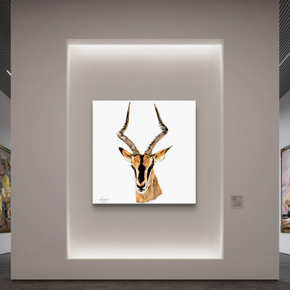 Impala Fine Art Giclée Matte Poster