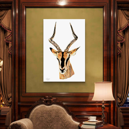 Impala Fine Art Giclée Matte Poster