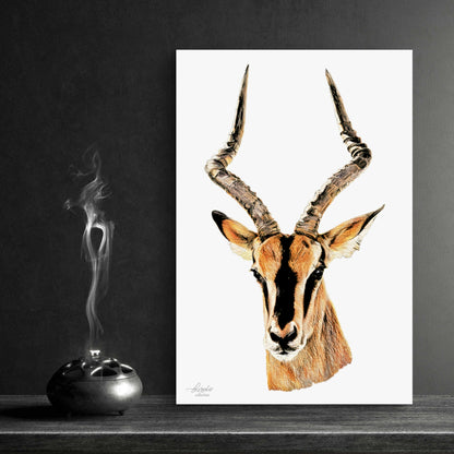 Impala Fine Art Giclée Matte Poster