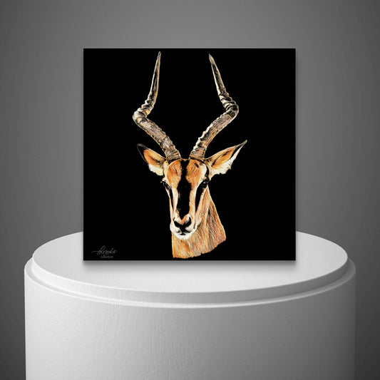 Impala Fine Art Giclée Matte Black Poster