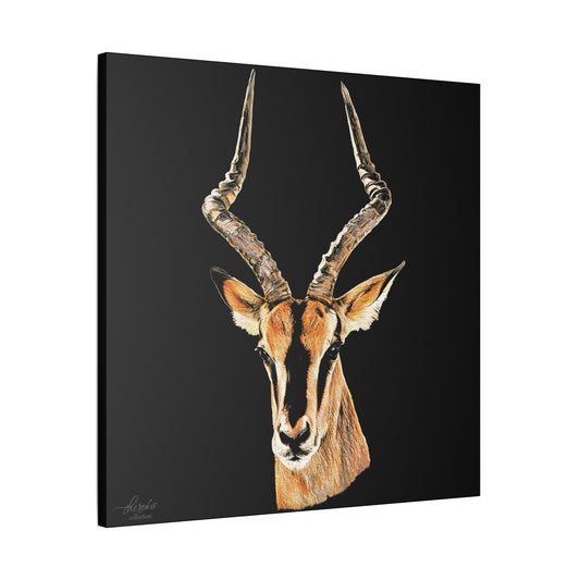 Impala Satin Stretched Black Canvas Print