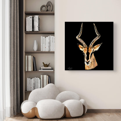 Impala Satin Stretched Black Canvas Print