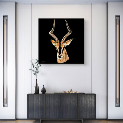 Impala Satin Stretched Black Canvas Print