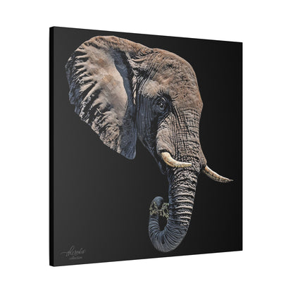 Elephant Satin Stretched Black Canvas Print