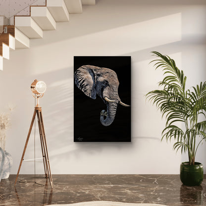 Elephant Satin Stretched Black Canvas Print