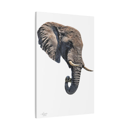 Elephant Satin Stretched Canvas Print