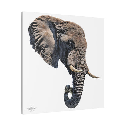 Elephant Satin Stretched Canvas Print