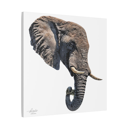 Elephant Satin Stretched Canvas Print