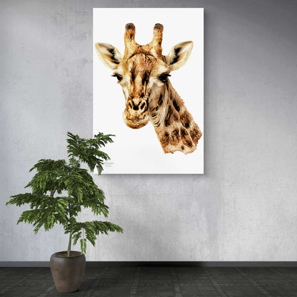 Giraffe Satin Stretched Canvas Print