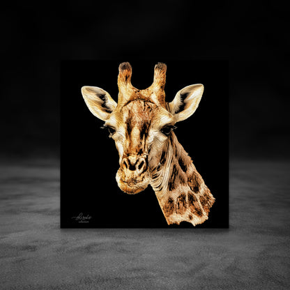 Giraffe Fine Art Giclée Matte Black Poster