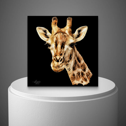 Giraffe Fine Art Giclée Matte Black Poster