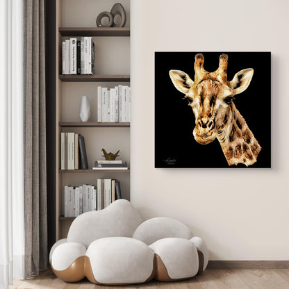 Giraffe Fine Art Giclée Matte Black Poster