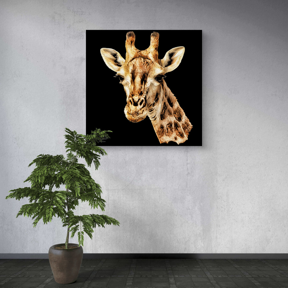 Giraffe Fine Art Giclée Matte Black Poster