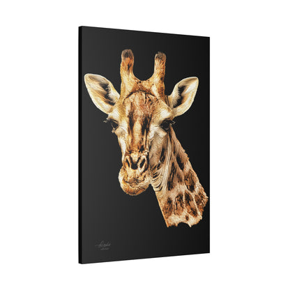 Giraffe Satin Stretched Black Canvas Print