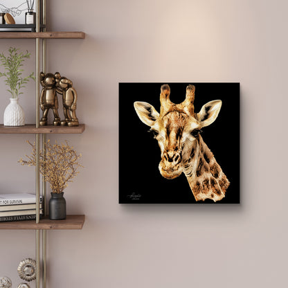 Giraffe Satin Stretched Black Canvas Print