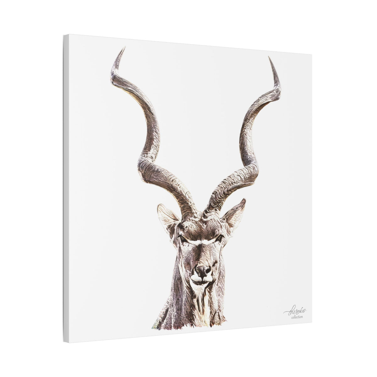 Kudu Satin Stretched Canvas Print