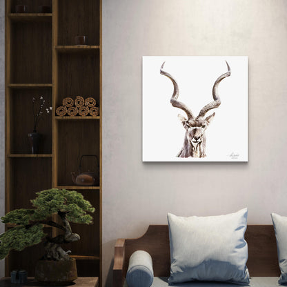 Kudu Satin Stretched Canvas Print