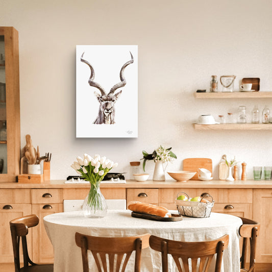 Kudu Satin Stretched Canvas Print