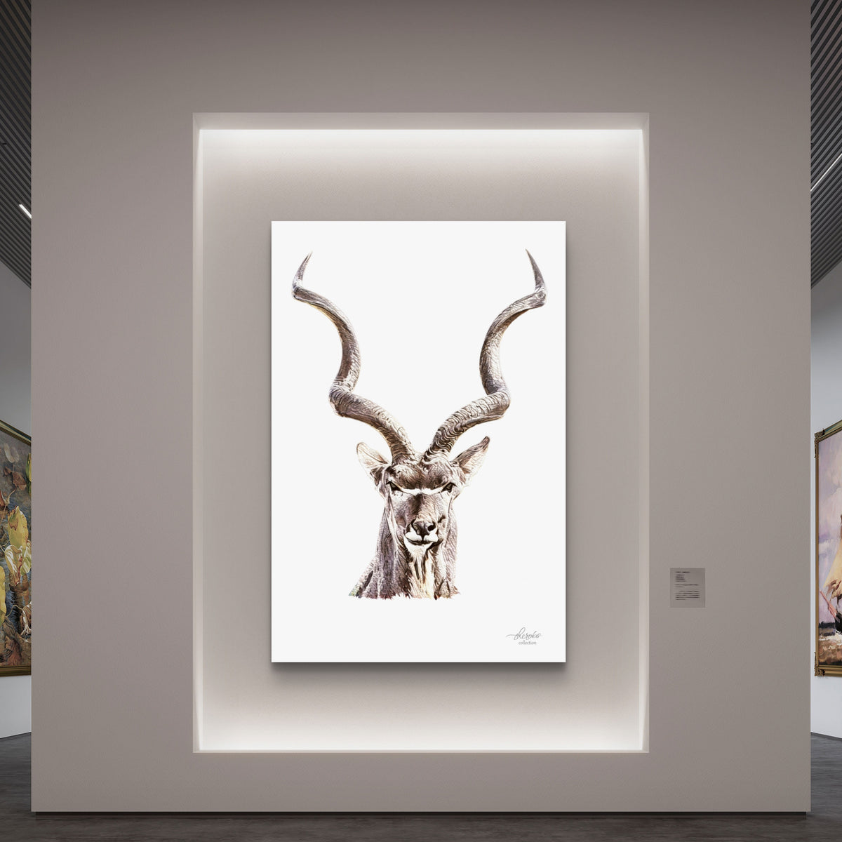 Kudu Satin Stretched Canvas Print