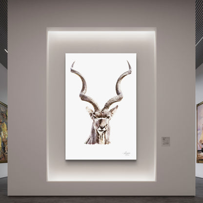 Kudu Satin Stretched Canvas Print
