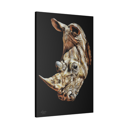 Rhino Satin Stretched Black Canvas Print