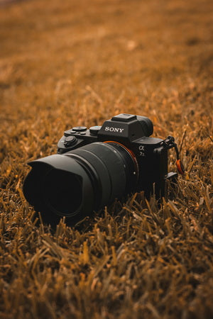 Sony camera on grass with a warm color tone