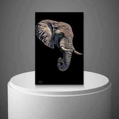 Elephant Fine Art Giclée Matte Black Poster II - HD Printing