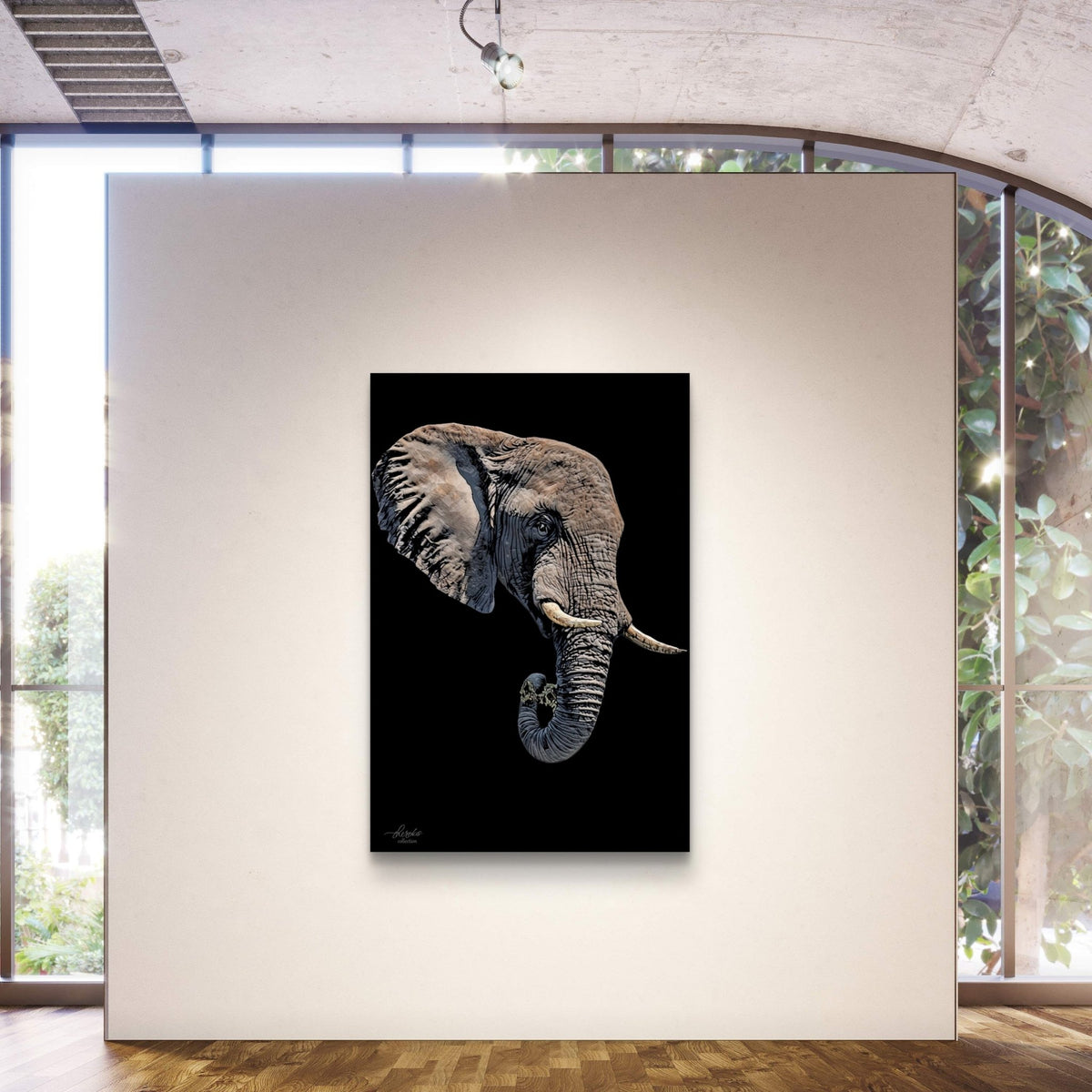 Elephant Fine Art Giclée Matte Black Poster II - HD Printing