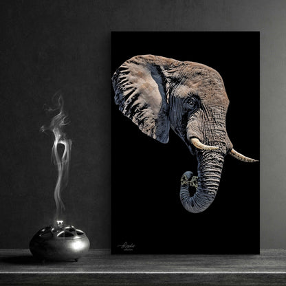 Elephant Fine Art Giclée Matte Black Poster II - HD Printing